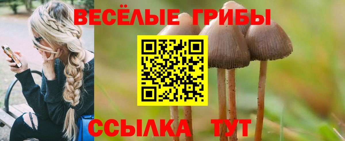 Галлюциногенные грибы Cubensis Петропавловск-Камчатский