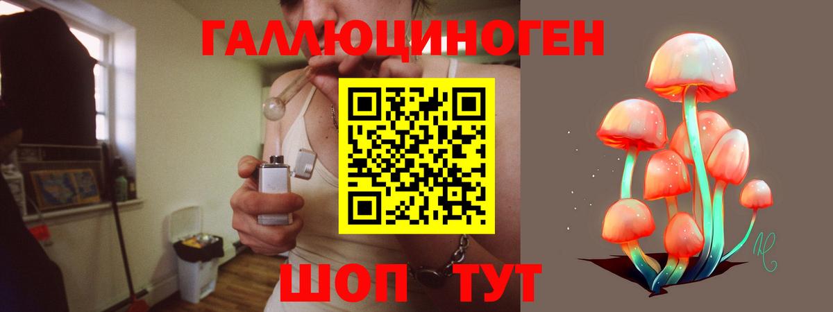 закладка  Вход с VPN  Петропавловск-Камчатский  Псилоцибиновые грибы GOLDEN TEACHER 